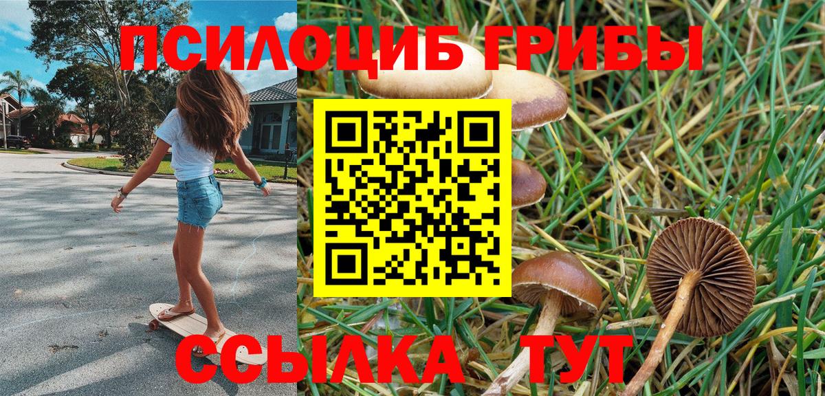 Джанкой  где купить наркотик  Вход с VPN  Псилоцибиновые грибы MAGIC MUSHROOMS  Псилоцибиновые грибы ЛСД 